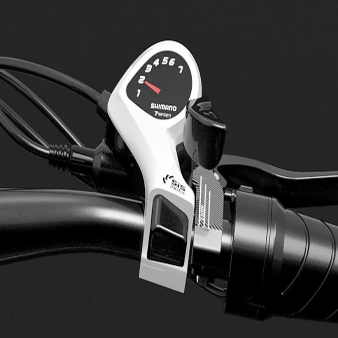 LANKELEISI X2000 MAX 20" Foldable Electric Bike 1000W*2 Dual Motor 2000W 48V 20Ah Battery