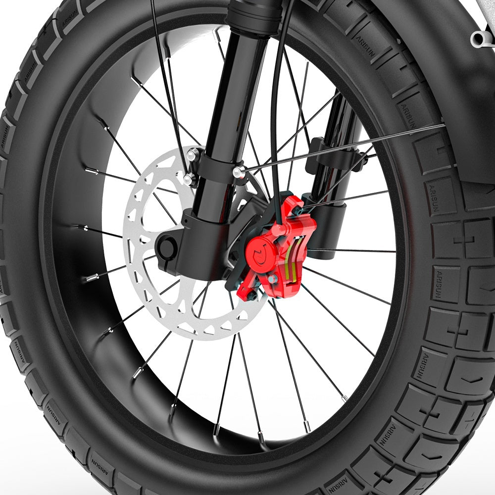 COSWHEEL CT20S 20" Off-Road Electric Bike 1500W Motor 60V 27.5Ah Battery