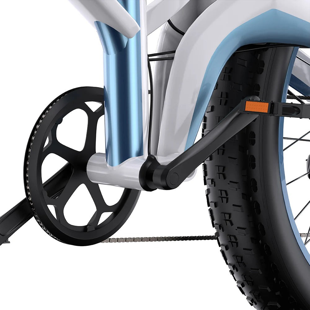 DUOTTS N26 26" Fat Tire Electric Bike 750W*2 Dual Motors 48V 20Ah Battery