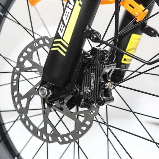 EMOKO C99 20" Off-Road Electric Bike 250W Motor 48V 20Ah Battery