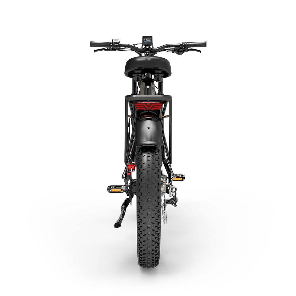 LANKELEISI MG800MAX 26″ Fat Tires All Terrain Electric Bike 2*1000W Dual Motor 48V 20Ah Battery