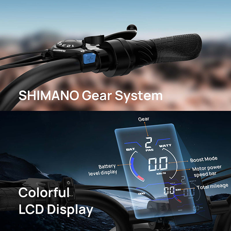 URLIFE T2 20" Off-Road Electric Bike 250W Motor 48V 15.6Ah Battery