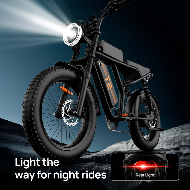 URLIFE T2 20" Off-Road Electric Bike 250W Motor 48V 15.6Ah Battery