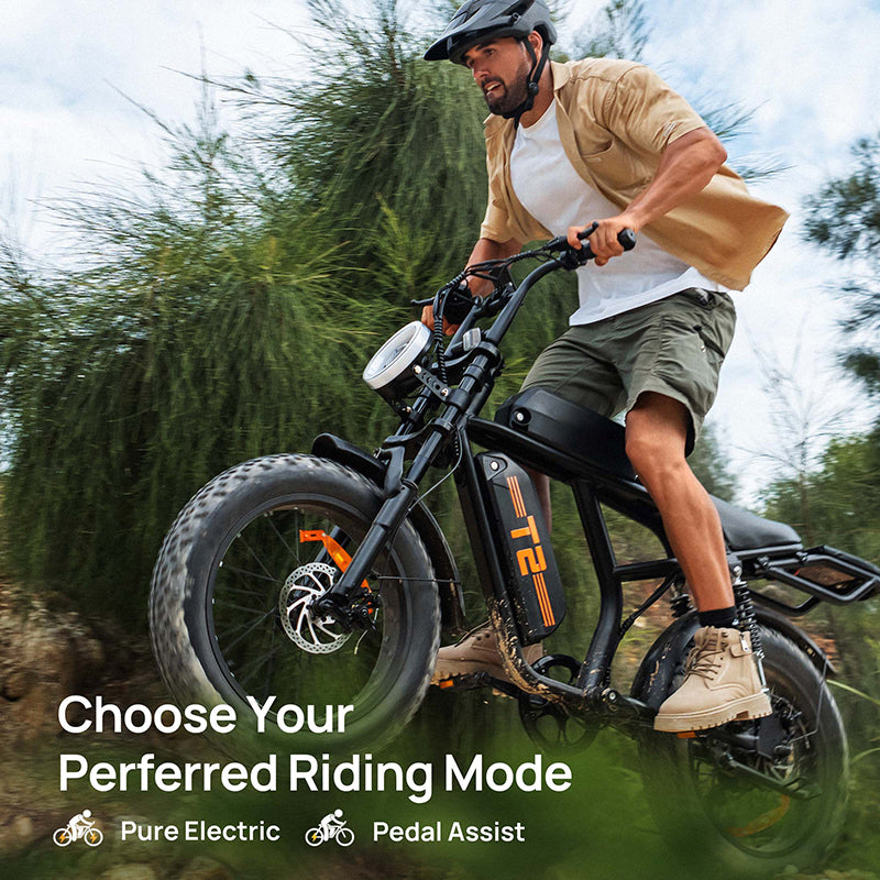 URLIFE T2 20" Off-Road Electric Bike 250W Motor 48V 15.6Ah Battery