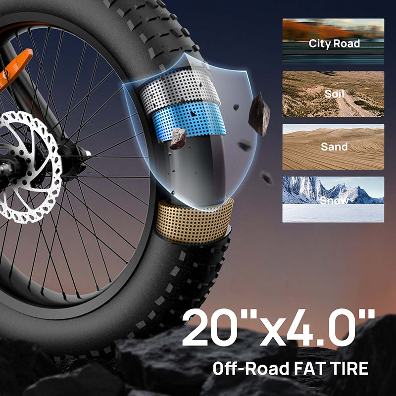 URLIFE T2 20" Off-Road Electric Bike 250W Motor 48V 15.6Ah Battery