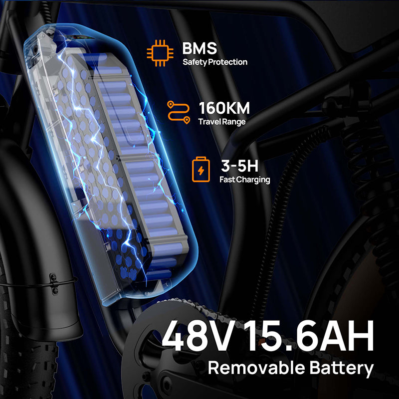 URLIFE T2 20" Off-Road Electric Bike 250W Motor 48V 15.6Ah Battery