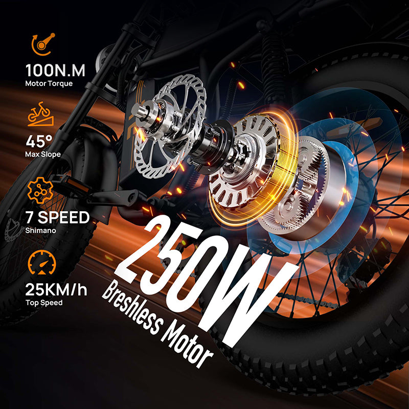 URLIFE T2 20" Off-Road Electric Bike 250W Motor 48V 15.6Ah Battery