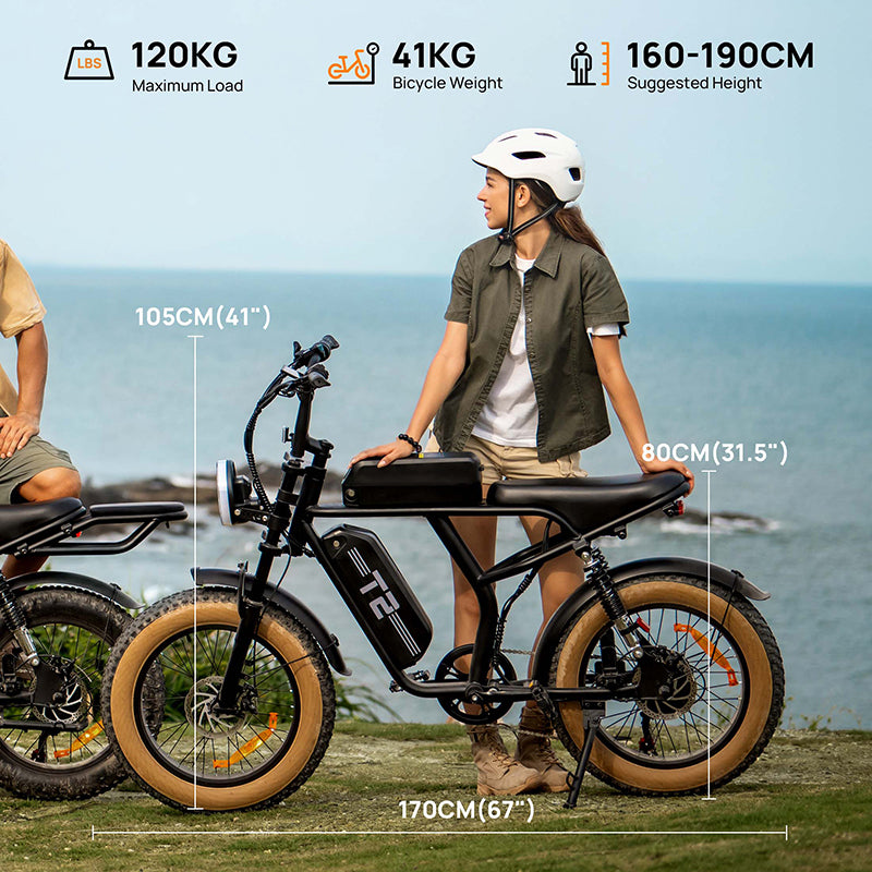 URLIFE T2 20" Off-Road Electric Bike 250W Motor 48V 15.6Ah Battery