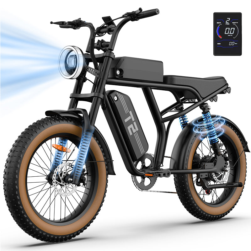 URLIFE T2 20" Off-Road Electric Bike 250W Motor 48V 15.6Ah Battery
