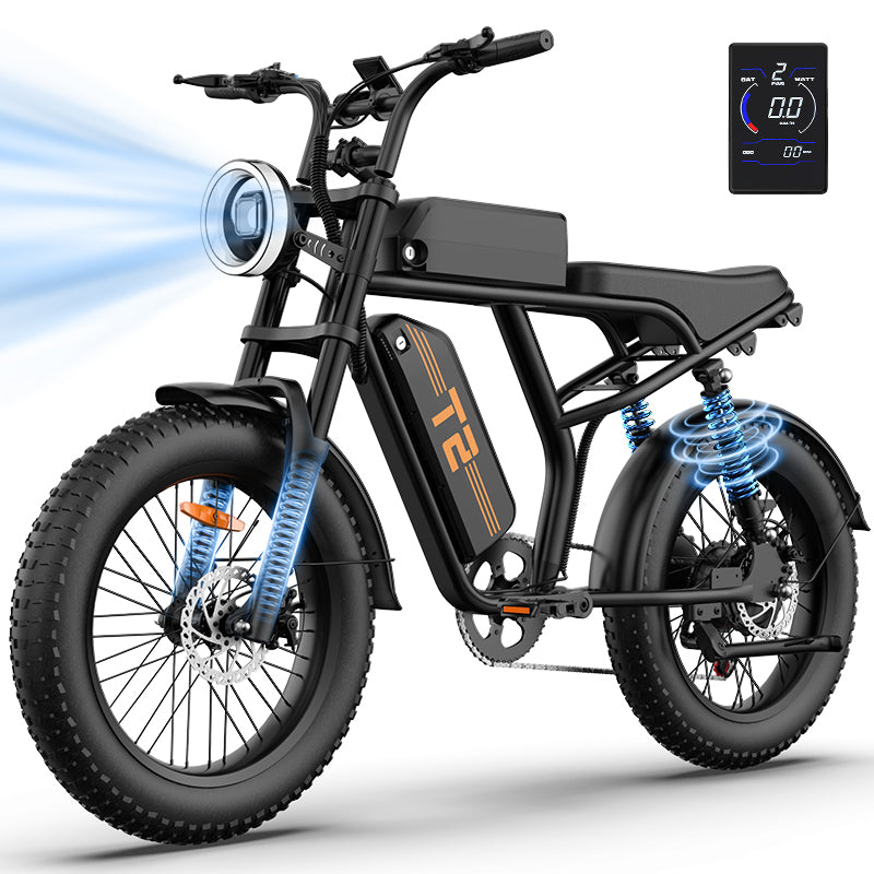 URLIFE T2 20" Off-Road Electric Bike 250W Motor 48V 15.6Ah Battery
