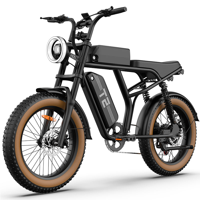 URLIFE T2 20" Off-Road Electric Bike 250W Motor 48V 15.6Ah Battery