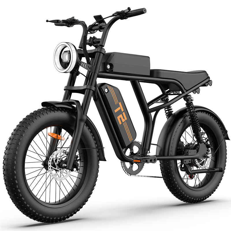 URLIFE T2 20" Off-Road Electric Bike 250W Motor 48V 15.6Ah Battery