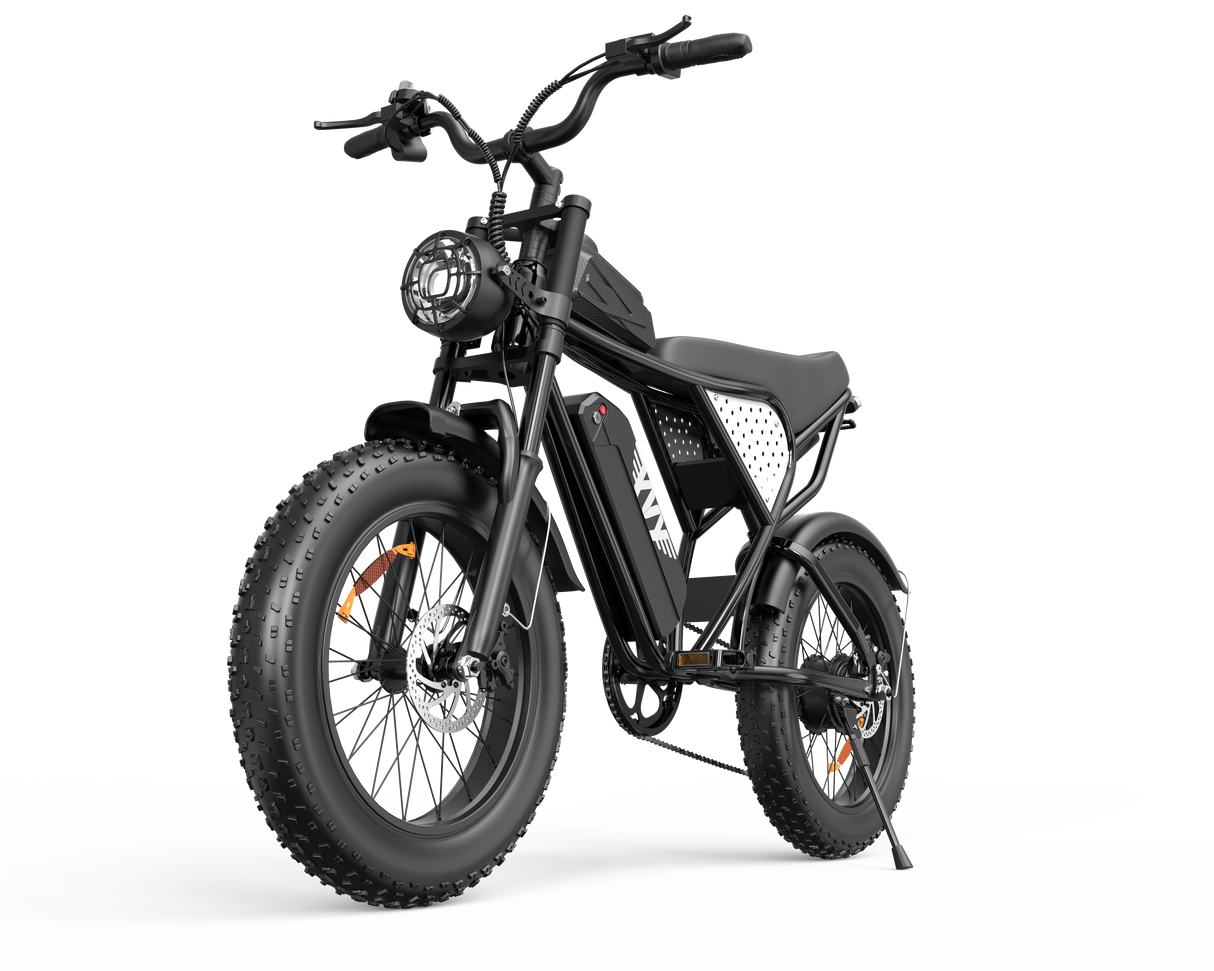 YVY C20Lite(Q20 Lite)20" Fat Tires Electric Bike 500W Motor 48V 15Ah Battery