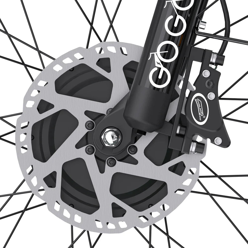 GOGOBEST GF750 PLUS 20" Fat Tires Electric Bike 2000W Motor 48V 20.3Ah Battery