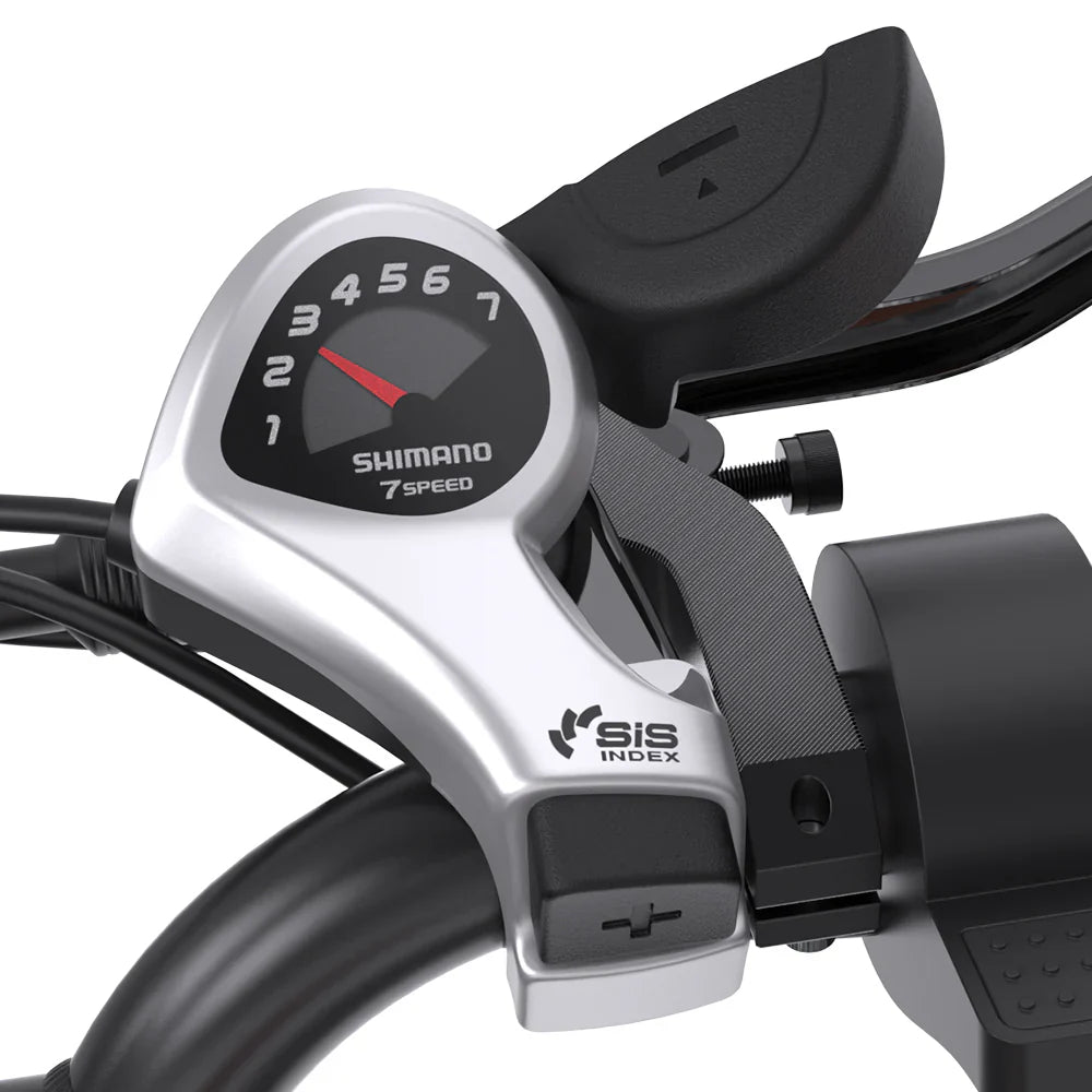 GOGOBEST GF750 PLUS 20" Fat Tires Electric Bike 2000W Motor 48V 20.3Ah Battery