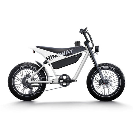 HIMIWAY C5 20" Off-Road Electric Bike 750W Motor 48V 20Ah Battery