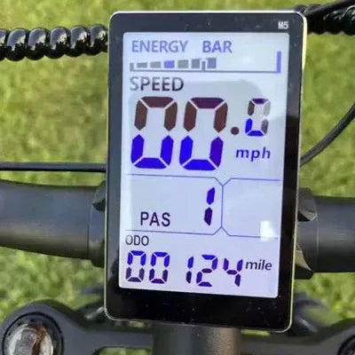 RIDSTAR Q20 Pro E-Bike Display