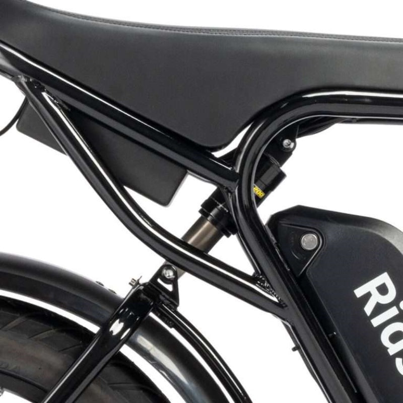 Ridstar-Q20-Lite-Fat-Tires-Electric-Bike-1000W-Motor-48V-15Ah-Battery-black