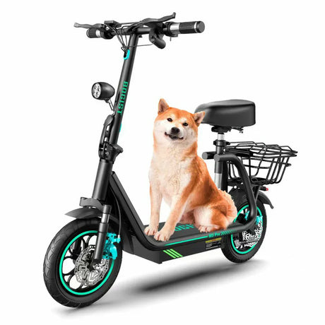 ✨Ride with your 55lbs furry friend🐶!