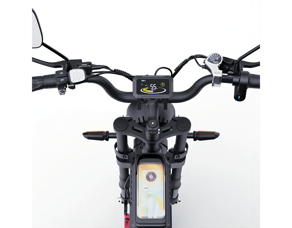 RIDSTAR Q20 Pro Electric Bike Display Settings  UK_GleeRide