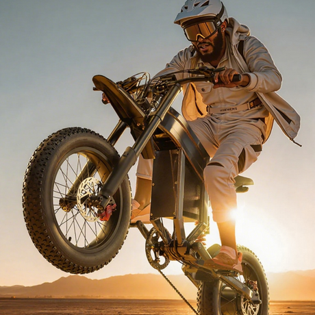 Freego X2 vs SHENGMILO S900: Which Electric Dirt Bike Offers Better Value?