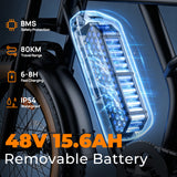 URLIFE T9 20" Off-Road Electric Bike 250W Motor 48V 15.6Ah Battery