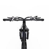 DUOTTS C29-L 29" Mountain Electric Bike 750W Motor 48V 15Ah Battery