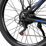 DUOTTS C29-L 29" Mountain Electric Bike 750W Motor 48V 15Ah Battery