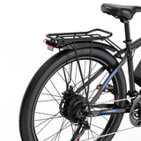 DUOTTS C29-L 29" Mountain Electric Bike 750W Motor 48V 15Ah Battery