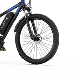 DUOTTS C29-L 29" Mountain Electric Bike 750W Motor 48V 15Ah Battery