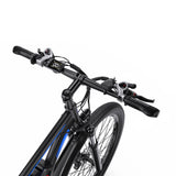 DUOTTS C29-L 29" Mountain Electric Bike 750W Motor 48V 15Ah Battery