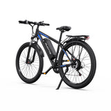 DUOTTS C29-L 29" Mountain Electric Bike 750W Motor 48V 15Ah Battery
