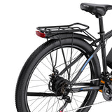DUOTTS C29 29" Electric Mountain Bike 750W Motor 48V 15Ah Battery