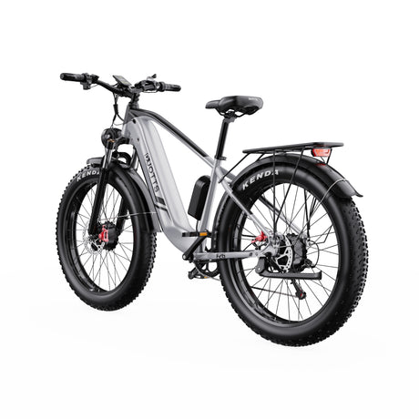 DUOTTS F26 26" Electric Mountain Bike 750W*2 Motors 48V 20Ah Battery