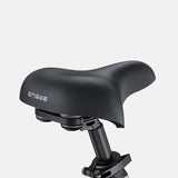 ENGWE L20 3.0 Pro 20" Step-Thru Electric Bike 250W Motor 48V 15Ah Battery