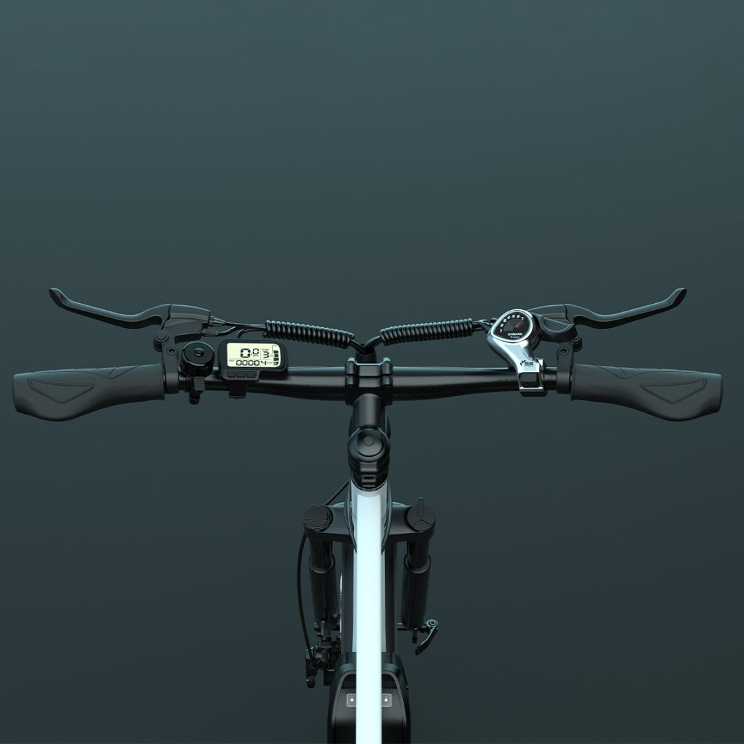 ESKUTE M100+ 27.5" Mountain Electric Bike 250W Motor 36V 13.5Ah Battery