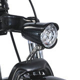 GOGOBEST GF100 24" Electric City Tricycle Cargo Ebike 350W Motor 36V 20Ah Battery