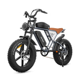 JANSNO X70GM 20" Fat Tires Electric Bikes 750W Motor 48V 14Ah+20Ah Dual Battery