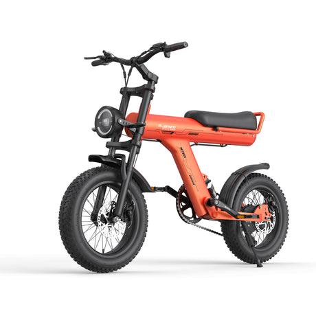 JANSNO X90-Y 16" Off-Road E-Bike 750W Motor 48V 25Ah Battery