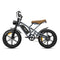 JANSNO X50M-17 20" Fat Tires Electric Bikes 750W Motor 48V 17Ah Battery