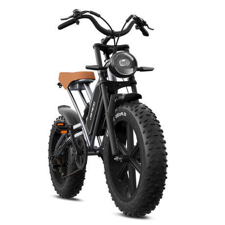 JANSNO X50M-17 20" Fat Tires Electric Bikes 750W Motor 48V 17Ah Battery