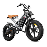 JANSNO X50M-17 20" Fat Tires Electric Bikes 750W Motor 48V 17Ah Battery