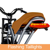 JANSNO X50M-17 20" Fat Tires Electric Bikes 750W Motor 48V 17Ah Battery
