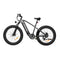 PIXAR Space1 26" Fat tire Electric Bike 500W Motor 48V 20Ah Battery