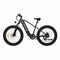PIXAR Space1 26" Fat tire Electric Bike 500W Motor 48V 20Ah Battery