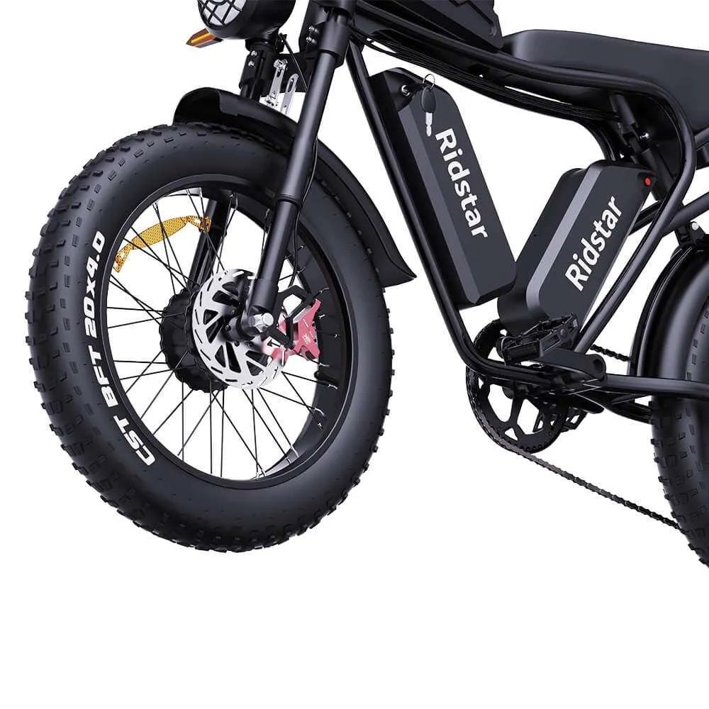 RIDSTAR Q20 Pro 20" Fat Tires Electric Bike 2*750W Motor 52V 40Ah Dual Battery