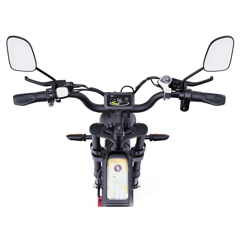 RIDSTAR Q20 Pro 20" Fat Tires Electric Bike 2*750W Motor 52V 40Ah Dual Battery