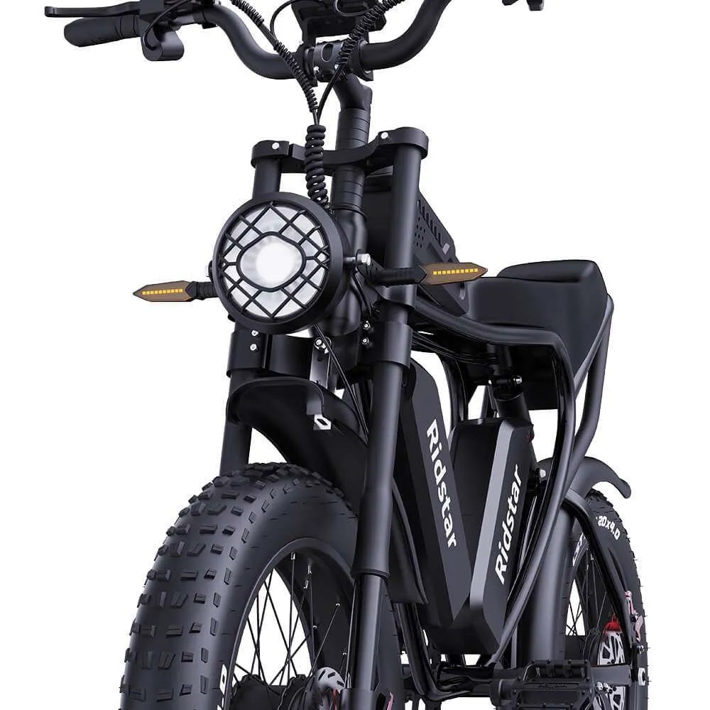 RIDSTAR Q20 Pro 20" Fat Tires Electric Bike 2*750W Motor 52V 40Ah Dual Battery
