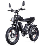 RIDSTAR Q20 Pro 20" Fat Tires Electric Bike 2*750W Motor 52V 40Ah Dual Battery