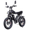 RIDSTAR Q20 Pro 20" Fat Tires Electric Bike 2*750W Motor 52V 40Ah Dual Battery
